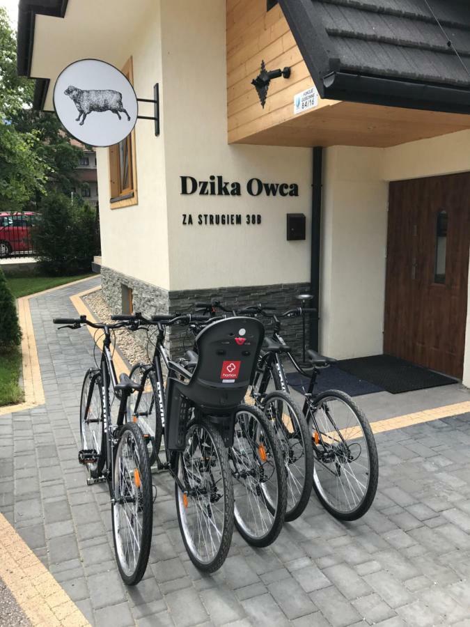 Ferienwohnung Dzika Owca Zakopane Exterior foto